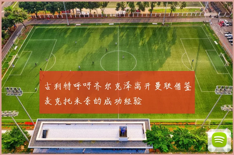 古利特呼吁齐尔克泽离开曼联借鉴麦克托米奈的成功经验