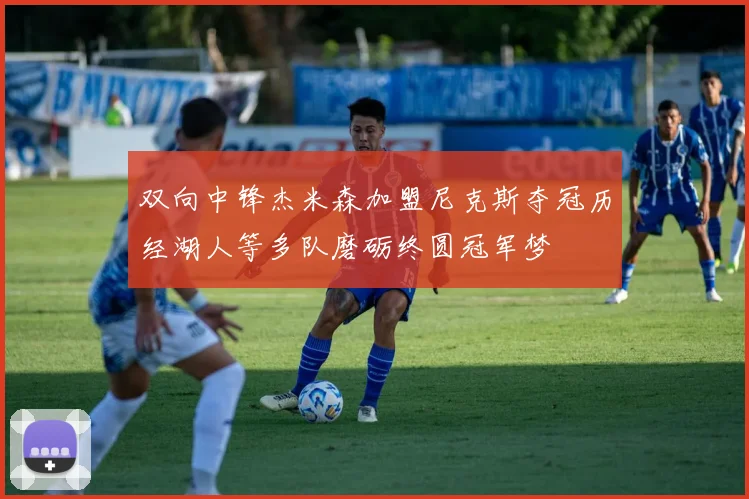 双向中锋杰米森加盟尼克斯夺冠历经湖人等多队磨砺终圆冠军梦