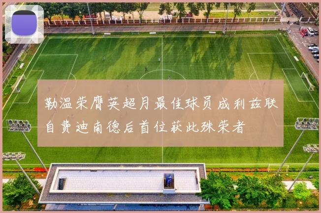勒温荣膺英超月最佳球员成利兹联自费迪南德后首位获此殊荣者