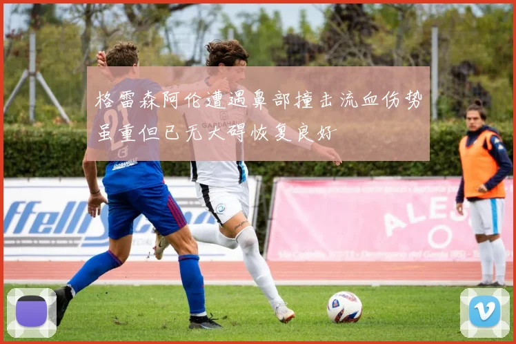格雷森阿伦遭遇鼻部撞击流血伤势虽重但已无大碍恢复良好